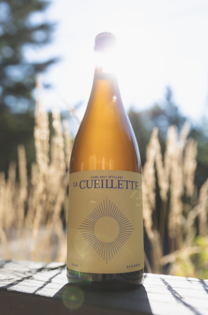 Cidre SAINT PIERRE