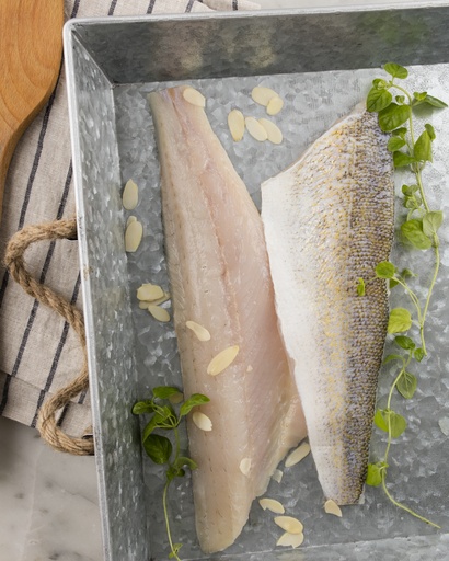 [1165] Canadian wild walleye fillet  (1 portion)