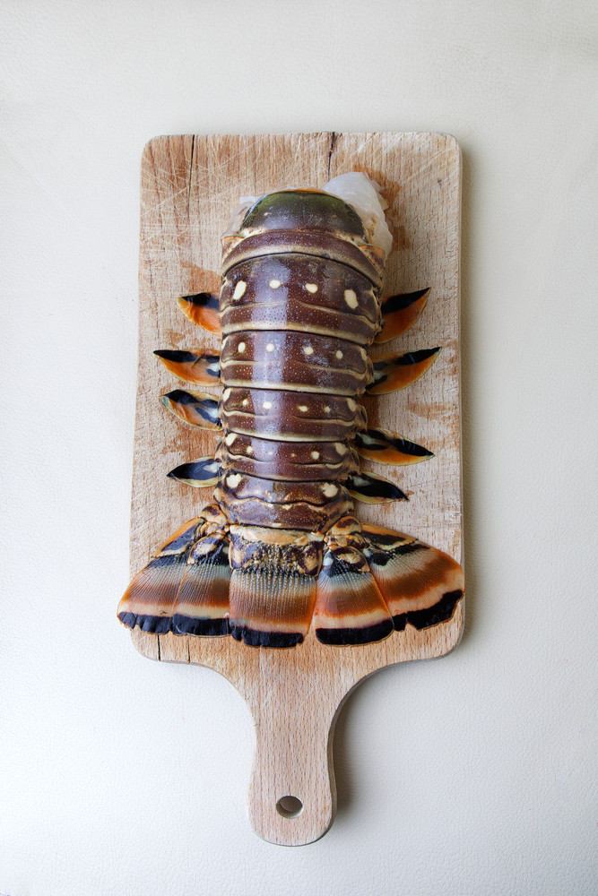 [1105] Queue de langouste des Caraïbes (1 portion)