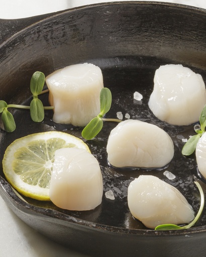 Pétoncles U-15 canadiens (Terre-Neuve)