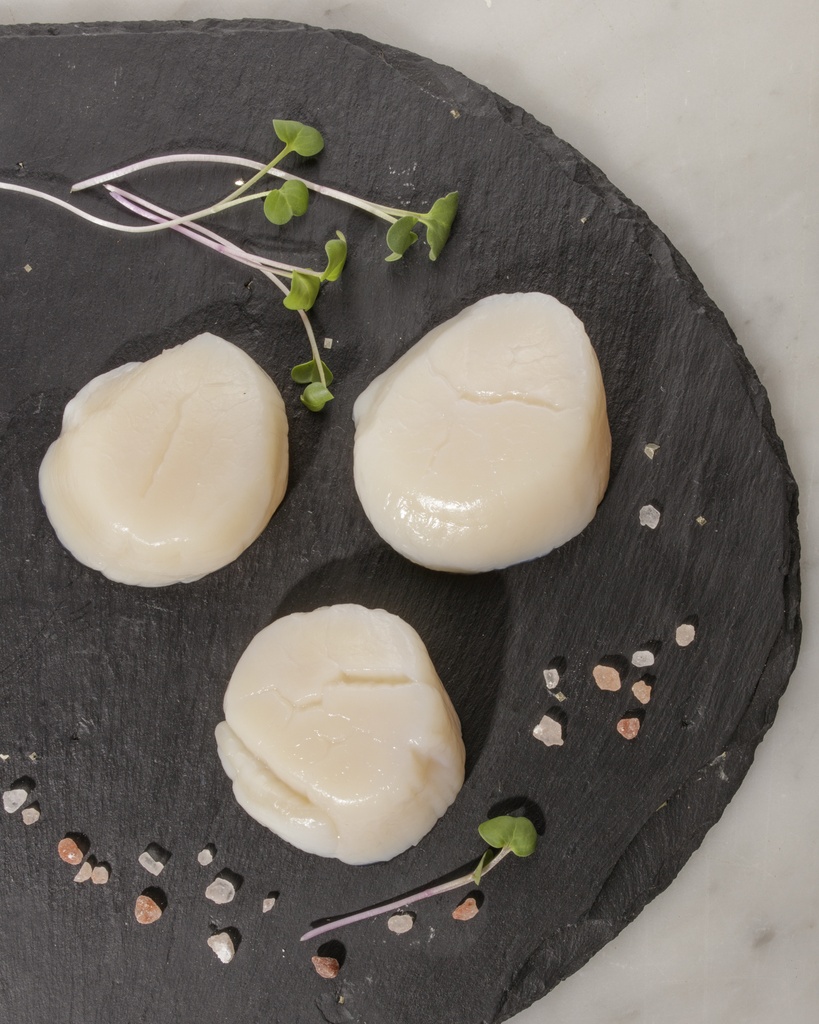 Pétoncles U-15 canadiens (Terre-Neuve)