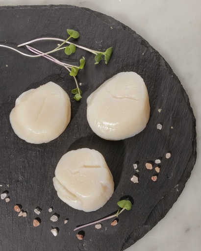 Canadian U-15 scallops